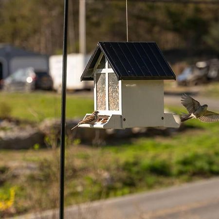 Cozy Cottage, Hot Tub, Fire Pit, 15Min To Hudson And Hiking Catskill Extérieur photo